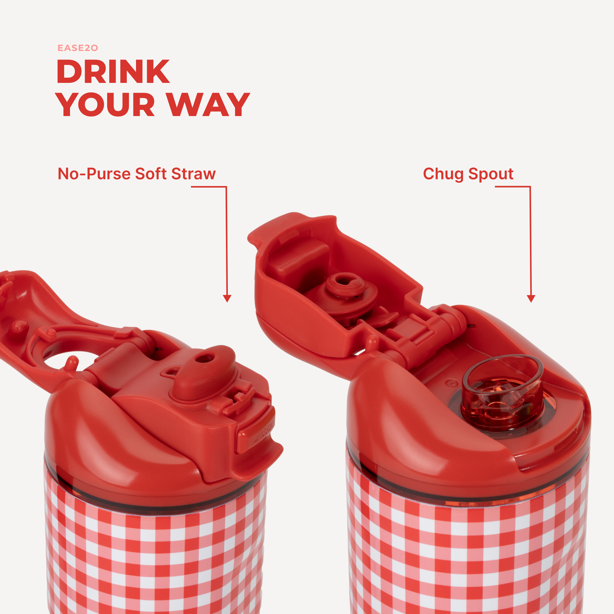 Summer Picnic 24oz Ease2o Lid: Soft Straw and Chug Spout Options